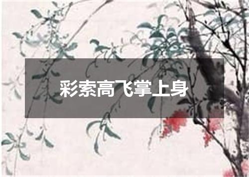彩索高飞掌上身