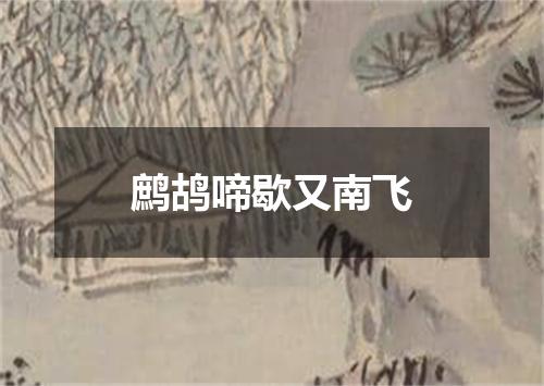 鹧鸪啼歇又南飞