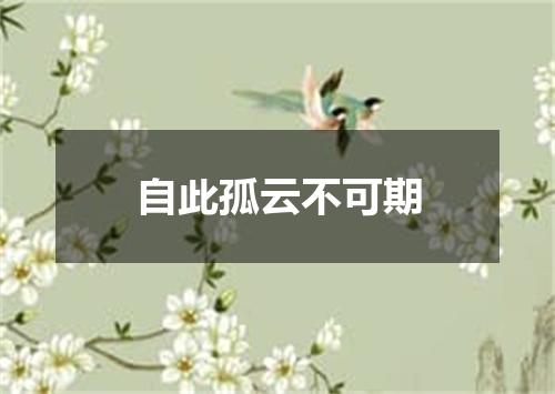 自此孤云不可期