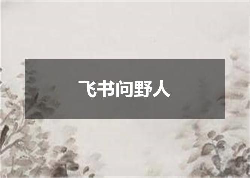 飞书问野人