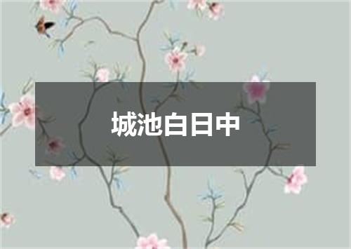 城池白日中