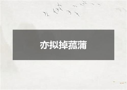 亦拟掉菰蒲