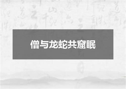 僧与龙蛇共窟眠