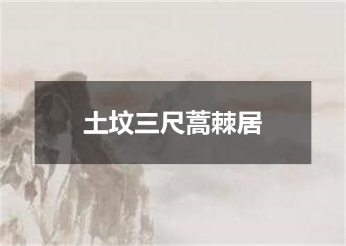 土坟三尺蒿棘居