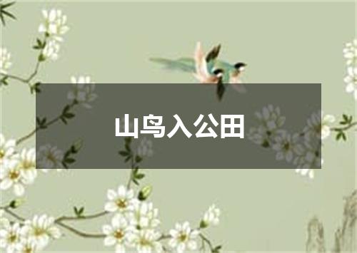 山鸟入公田