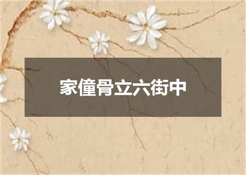 家僮骨立六街中