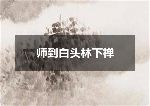 师到白头林下禅