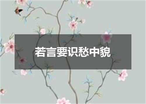 若言要识愁中貌