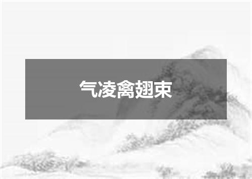 气凌禽翅束