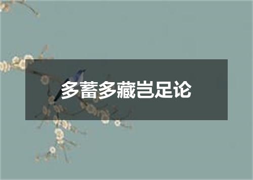 多蓄多藏岂足论