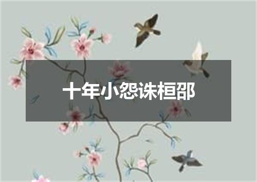 十年小怨诛桓邵