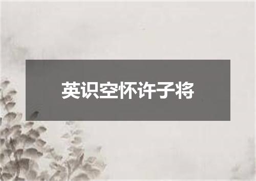 英识空怀许子将