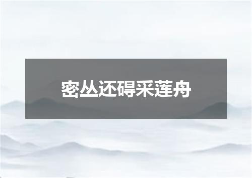 密丛还碍采莲舟