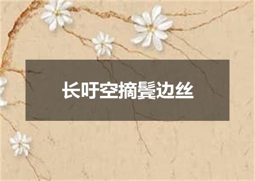长吁空摘鬓边丝