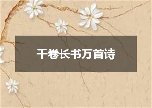 千卷长书万首诗