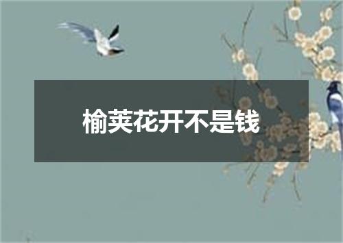 榆荚花开不是钱