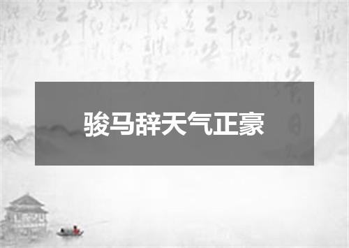 骏马辞天气正豪