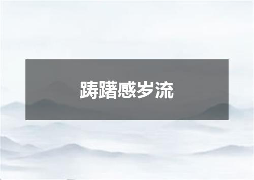 踌躇感岁流
