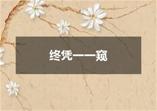 终凭一一窥