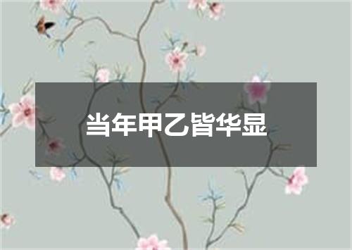 当年甲乙皆华显