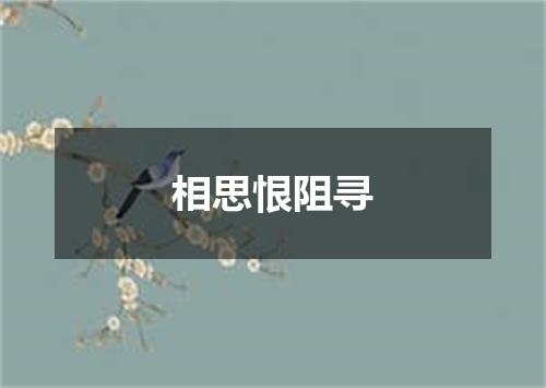 相思恨阻寻
