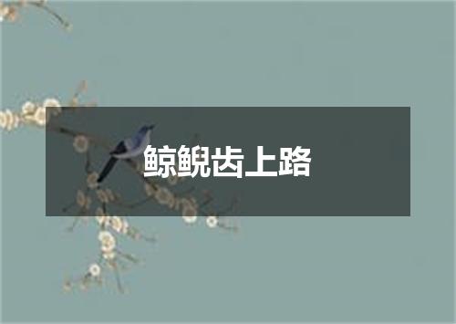 鲸鲵齿上路