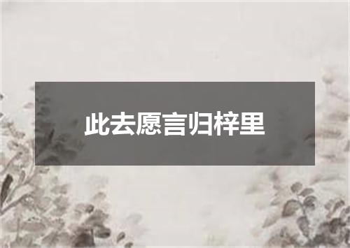 此去愿言归梓里