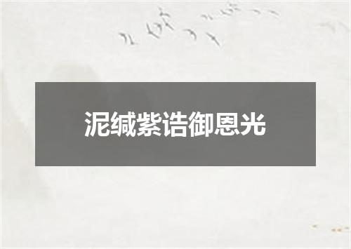 泥缄紫诰御恩光
