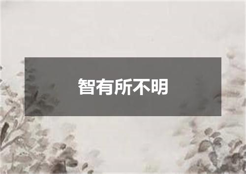智有所不明