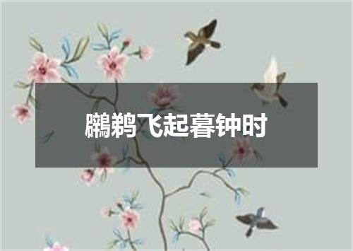鸊鹈飞起暮钟时