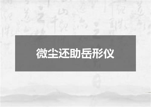 微尘还助岳形仪