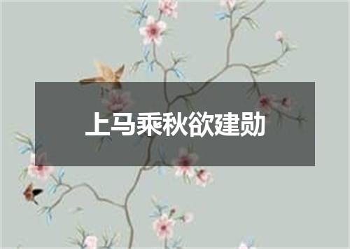 上马乘秋欲建勋