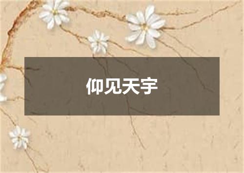 仰见天宇