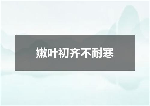 嫩叶初齐不耐寒