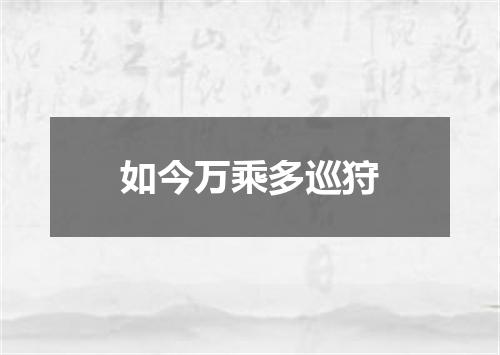 如今万乘多巡狩