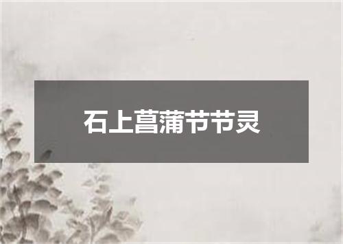石上菖蒲节节灵