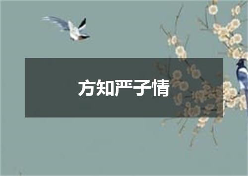 方知严子情