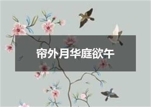帘外月华庭欲午