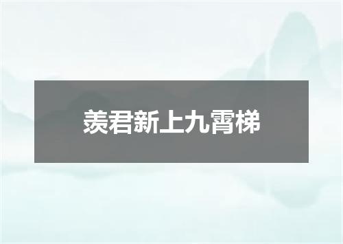 羡君新上九霄梯