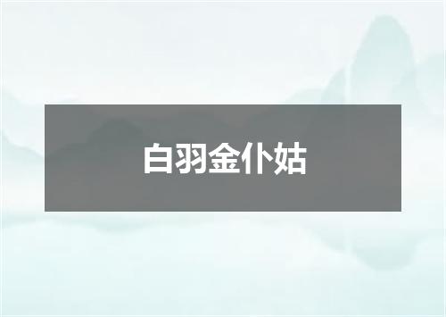 白羽金仆姑