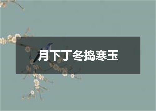 月下丁冬捣寒玉