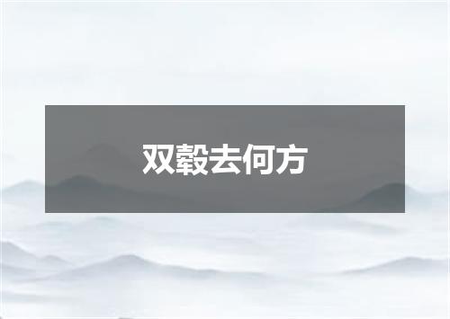 双毂去何方