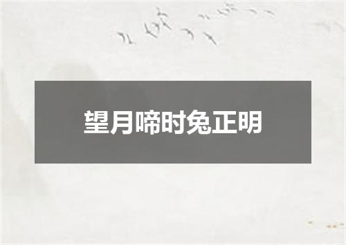 望月啼时兔正明
