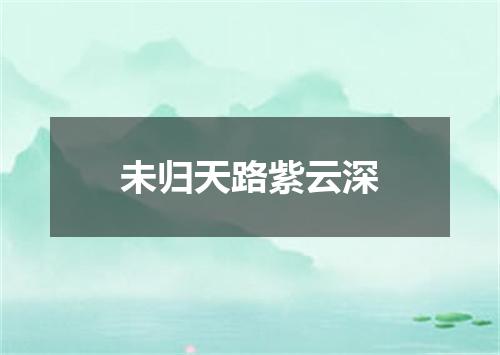未归天路紫云深