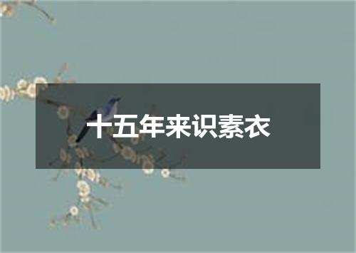 十五年来识素衣