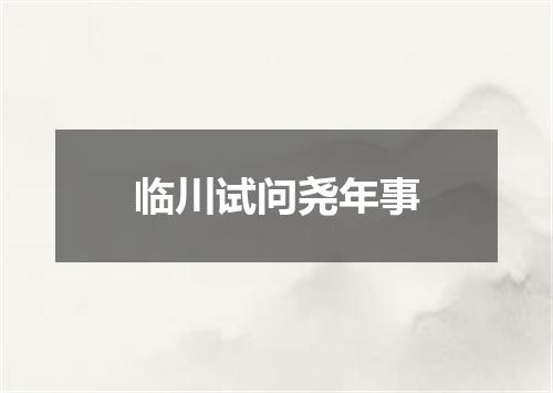 临川试问尧年事