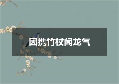 因携竹杖闻龙气
