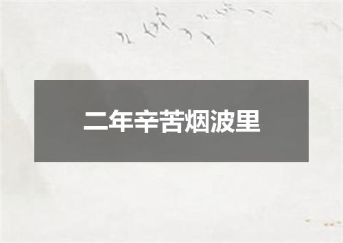 二年辛苦烟波里