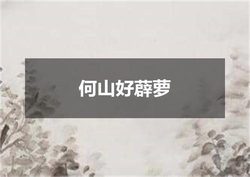 何山好薜萝