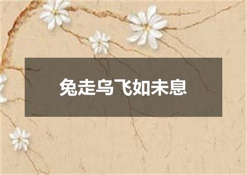 兔走乌飞如未息